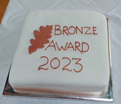 Bronze Award